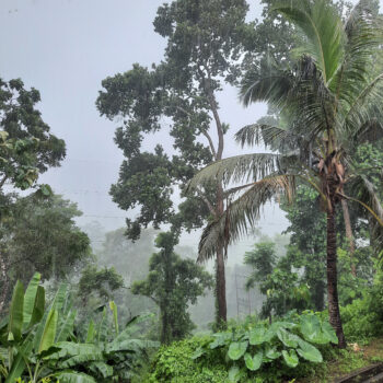 Meghalaya